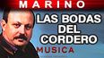 Las Bodas Del Cordero