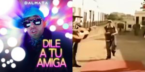 mejores canciones de dalmata