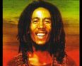 Rastaman Vibration