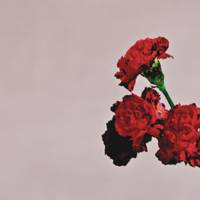 Best of 19  songs by John Legend