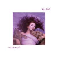 Best of 20 songs by Kate Bush